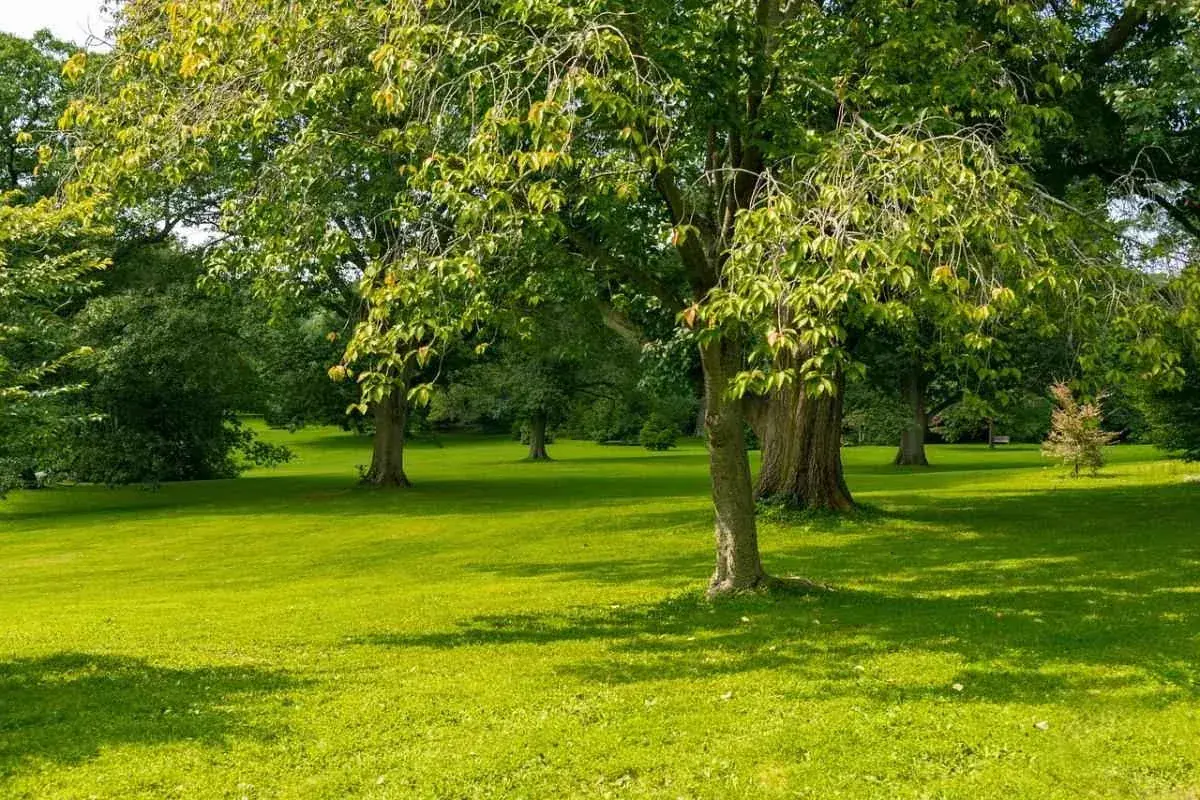 Jardinero trabajando en un jardín de Pamplona