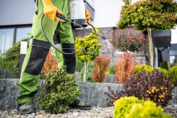 Control de plagas en jardines de Pamplona