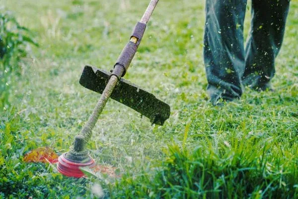 Limpieza y desbroce de jardines en Pamplona