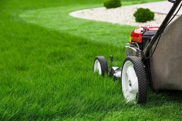 Mantenimiento de jardines en Pamplona